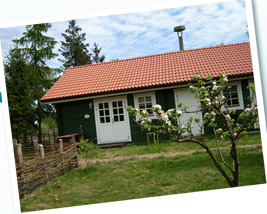 Ferienhaus Ranger's Home